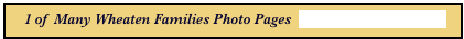 1 of  Many Wheaten Families Photo Pages  click here to go to next page
